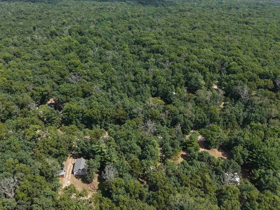 Lot 167 James, Wellston, MI 49689 - #2