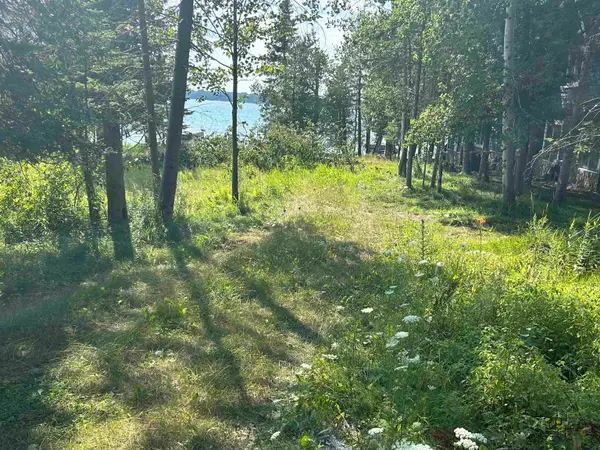 Lots 5 & 20 Wak Wing DR, CentralLake, MI 49622