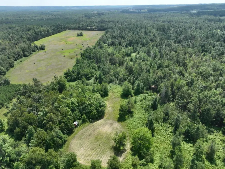 628 Badgley, Vanderbilt, MI 49795 - #3