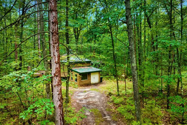 1825 Anita, Kalkaska, MI 49646