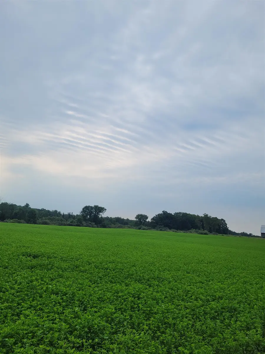 V/L N Cook, Marion, MI 49665 - #2