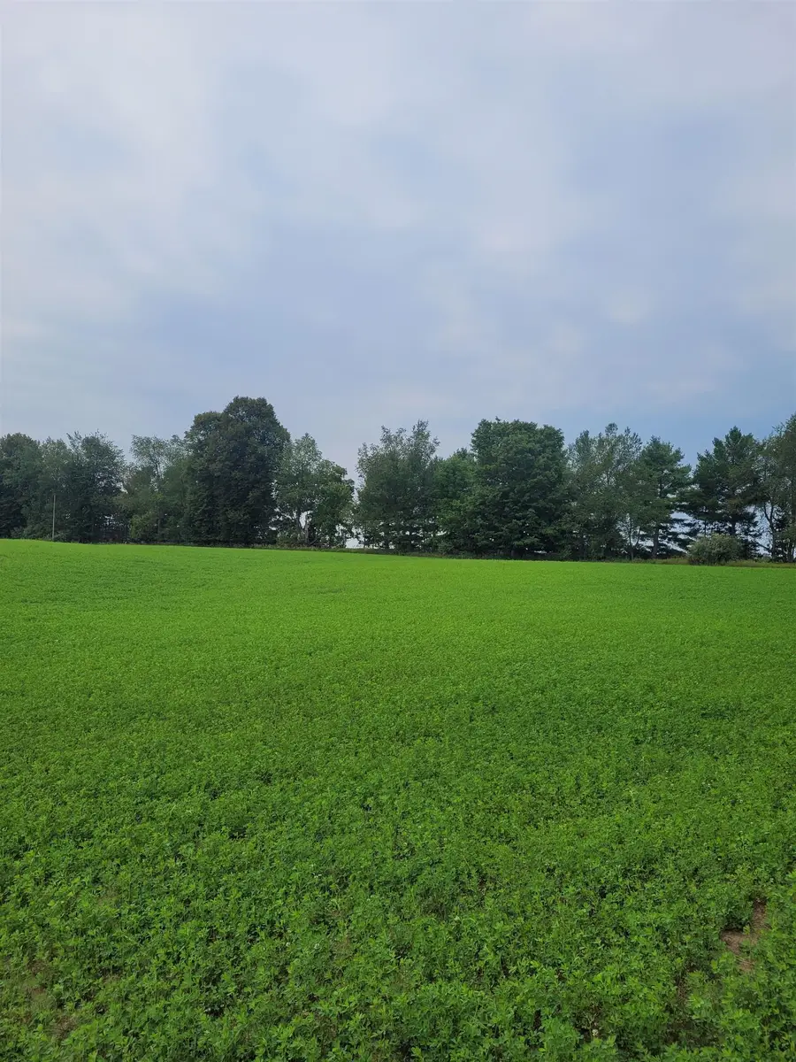 V/L N Cook, Marion, MI 49665 - #3