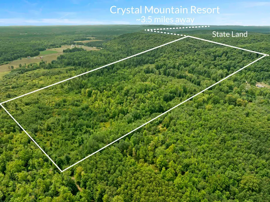 000 S Thompsonville, Thompsonville, MI 49683 - #2