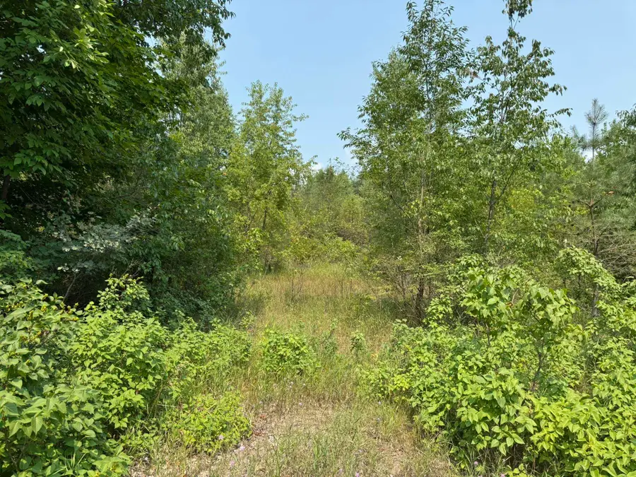 8558 Homestead, Benzonia, MI 49616 - #3