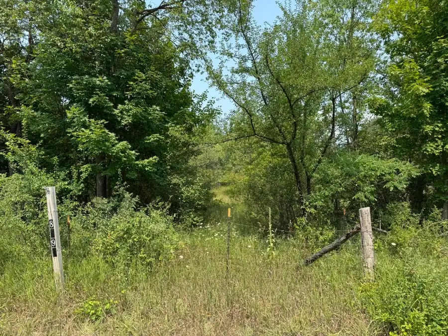 8590 Homestead, Benzonia, MI 49616 - #2