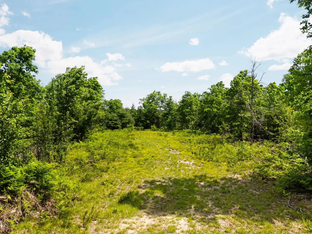 4011 W Forest RD, Forest, MI 49651 - #1