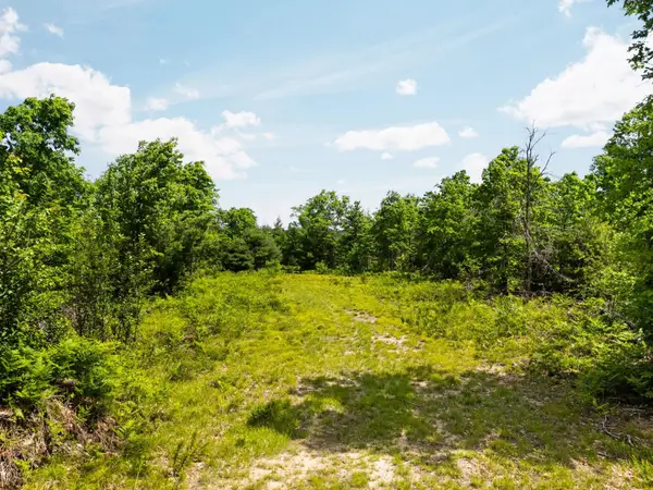 4011 W Forest RD, LakeCity, MI 49651