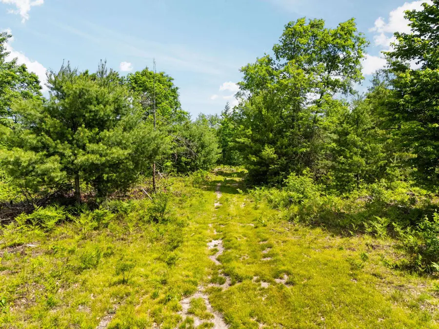 4011 W Forest RD, Forest, MI 49651 - #2