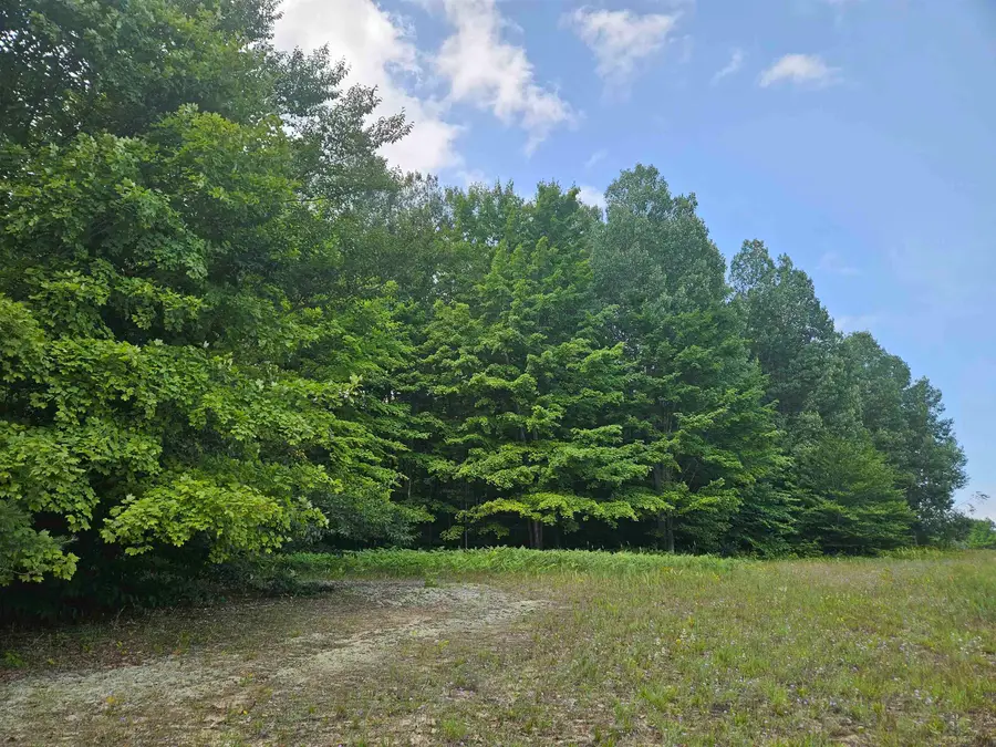 19172 Cedar Run RD, Almira, MI 49684 - #2