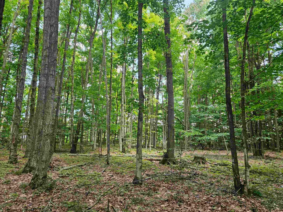 19172 Cedar Run RD, Almira, MI 49684 - #3
