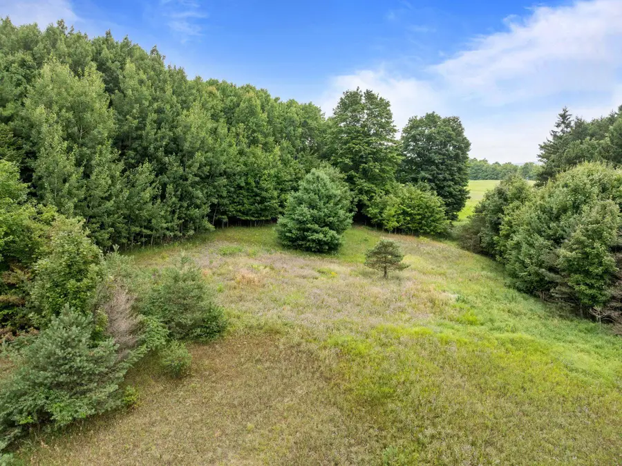Parcel A E Lavassar, Leland, MI 49653 - #3