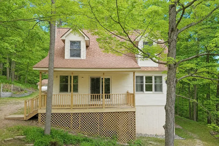 17806 N Sweet Lake, Almira, MI 49650 - #3
