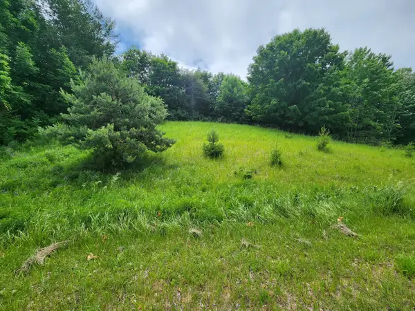 000 Deer Ridge, Beulah, MI 49617