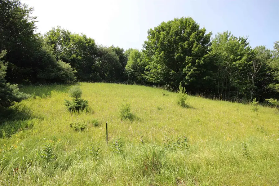 000 Deer Ridge, Beulah, MI 49617 - #2