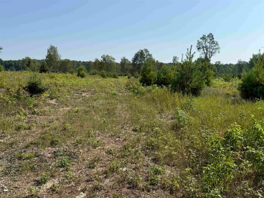 Parcel A 7 S Bright, Kasson, MI 49664 - #3