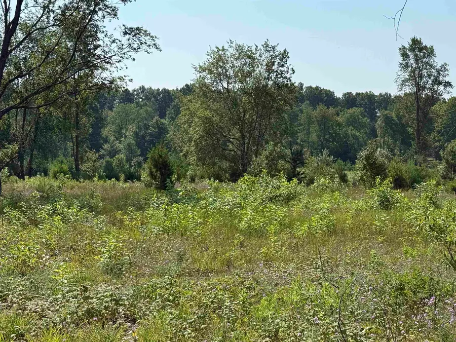 Parcel A 8 S Bright, Kasson, MI 49664 - #2