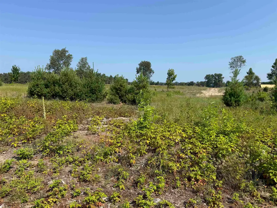 Parcel A 8 S Bright, Kasson, MI 49664 - #3