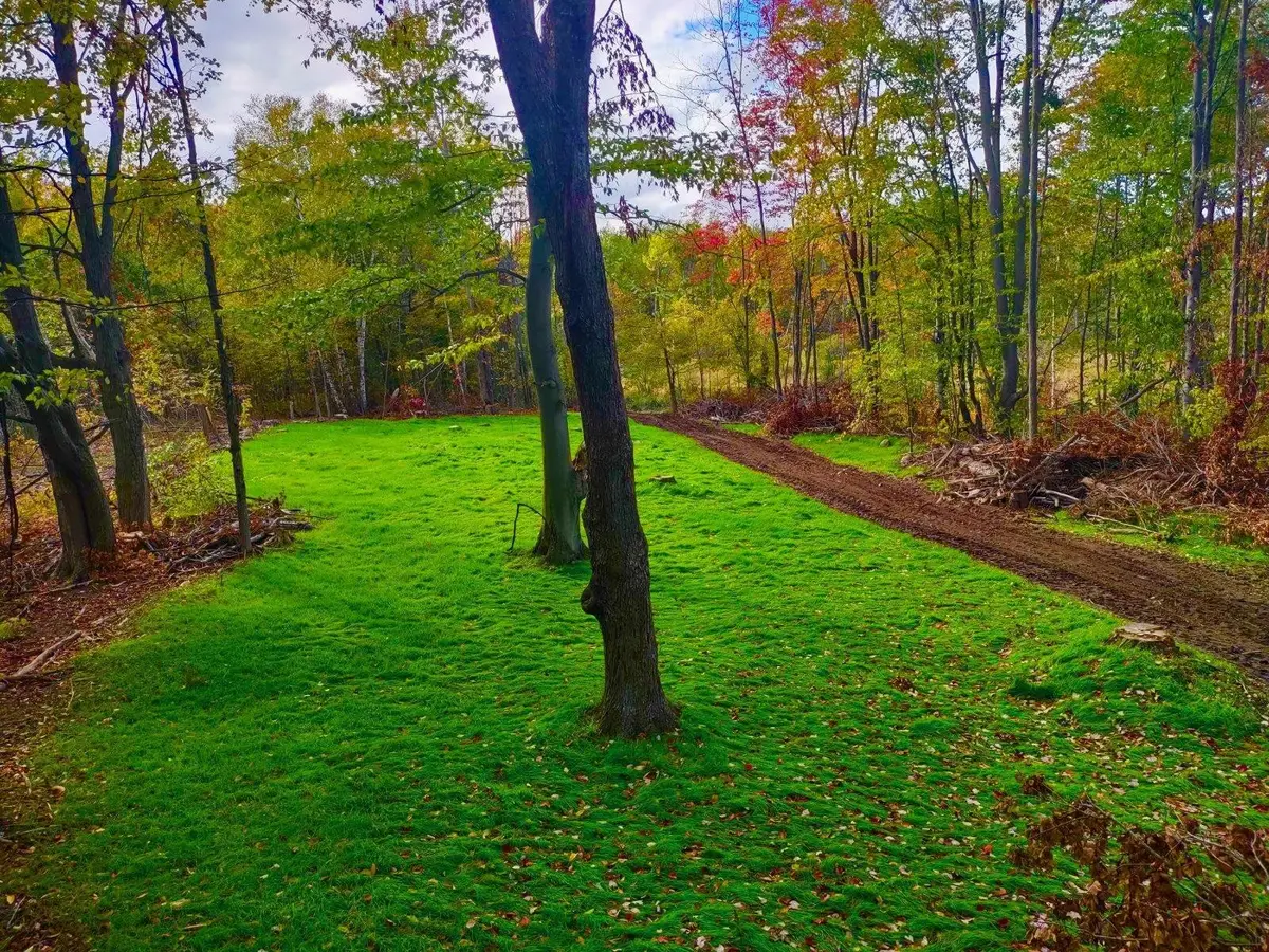 V/Land SE M-115, Marion, MI 49665 - #1