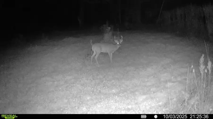 V/Land SE M-115, Marion, MI 49665 - #2