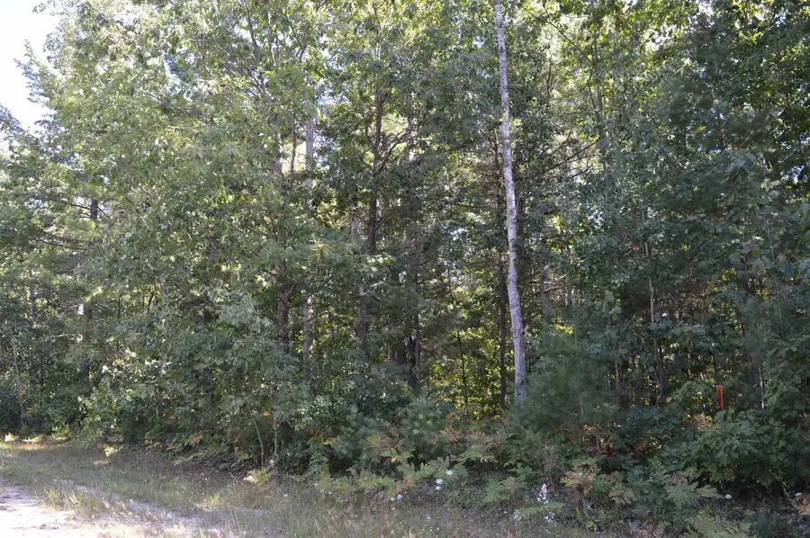2060 Driftwood, Kalkaska, MI 49646 - #2