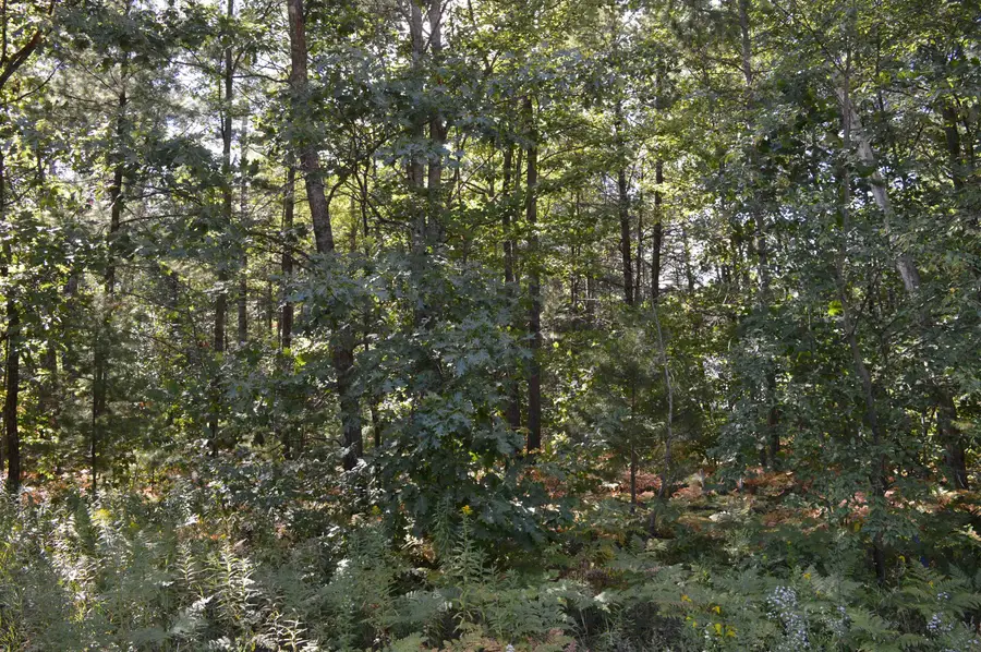 2080 Driftwood, Kalkaska, MI 49646 - #2