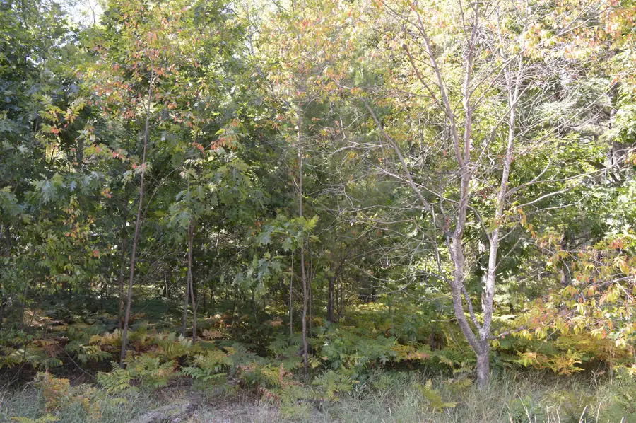 2080 Driftwood, Kalkaska, MI 49646 - #3