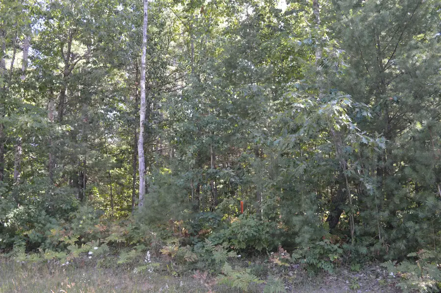 2121 Driftwood, Kalkaska, MI 49646 - #2