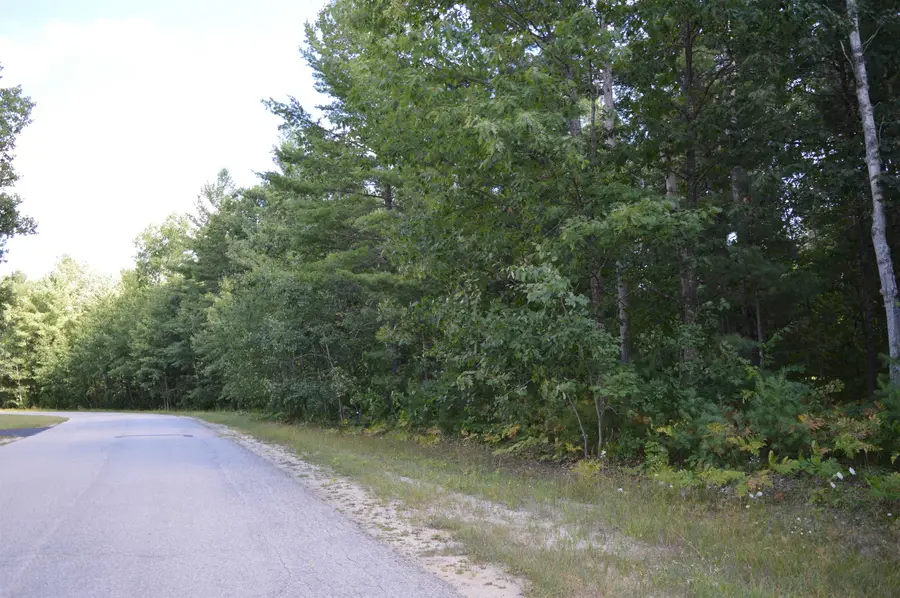 2121 Driftwood, Kalkaska, MI 49646 - #3