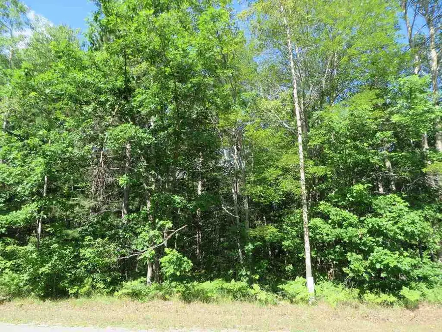 2089 E Log Lake RD, Kalkaska, MI 49646 - #2