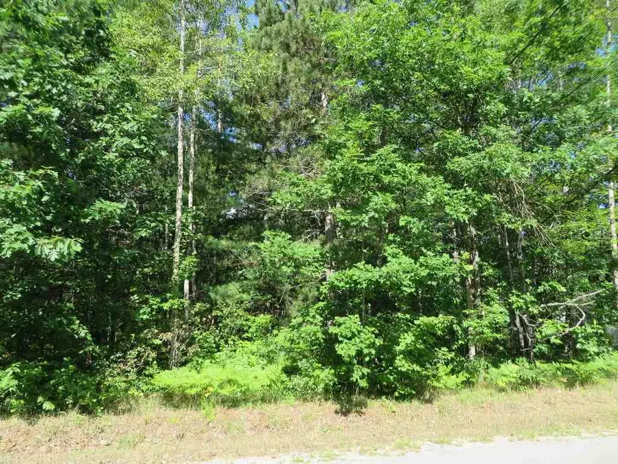 2089 E Log Lake RD, Kalkaska, MI 49646 - #3