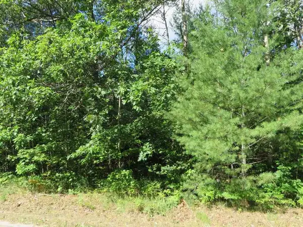 2143 E Log Lake RD, Kalkaska, MI 49646
