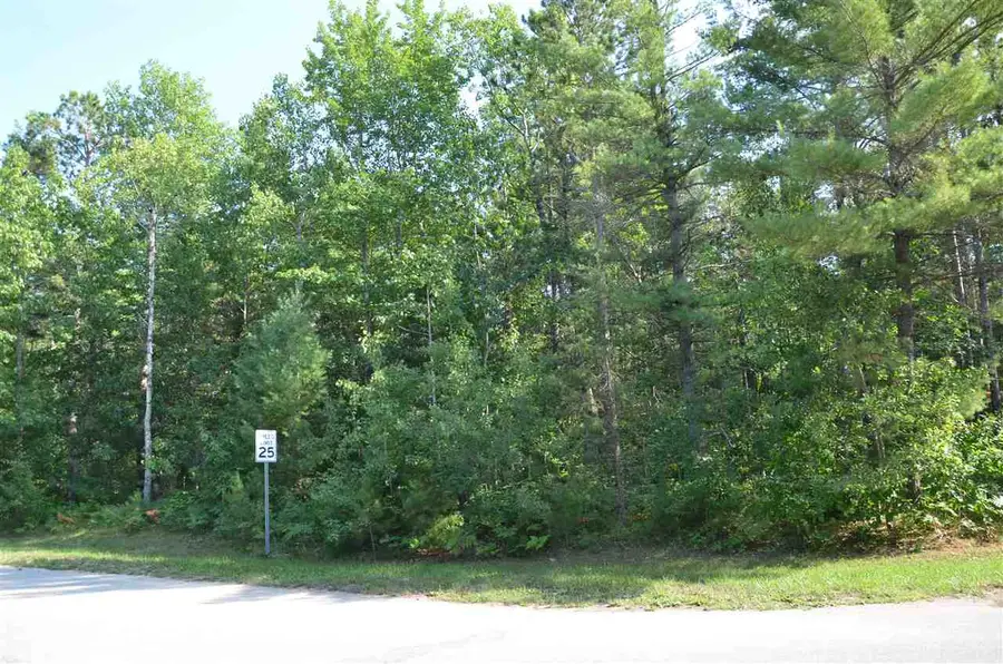 Off W Log Lake, Kalkaska, MI 49646 - #2