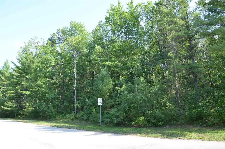 Off W Log Lake, Kalkaska, MI 49646 - #3