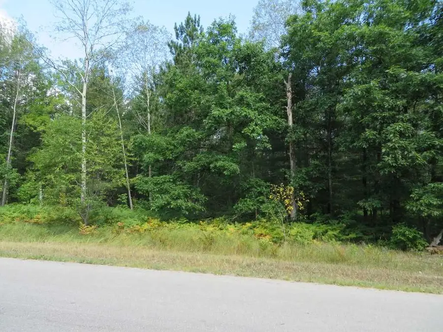 2205 NE Driftwood, Kalkaska, MI 49646 - #3