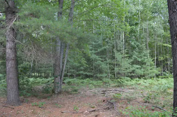 8430 NE Grass Lake, Kalkaska, MI 49646