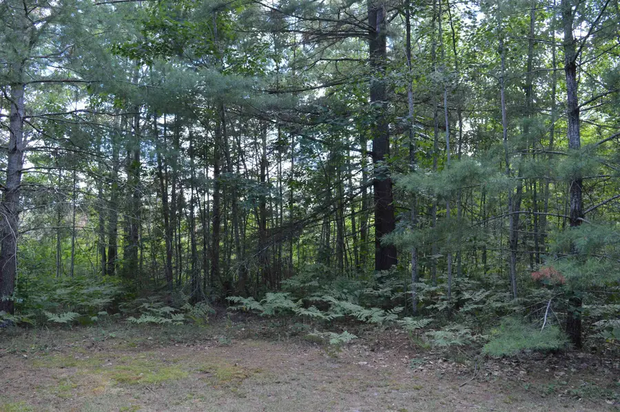 8430 NE Grass Lake, Kalkaska, MI 49646 - #2