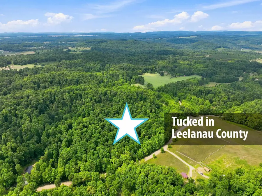 27.5 Acres S Hill, Cedar, MI 49621 - #2