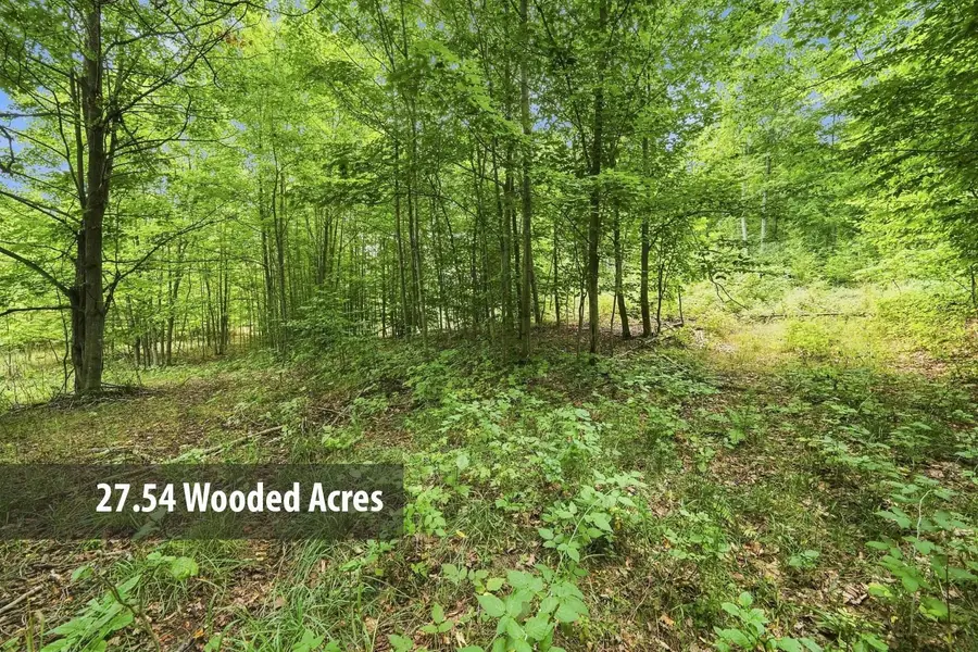 27.5 Acres S Hill, Cedar, MI 49621 - #3