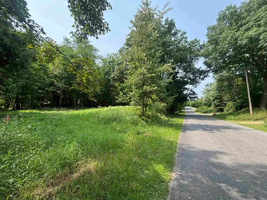 0 Franklin ST, Alden, MI 49612 - #3