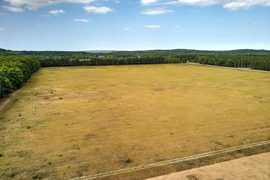 12500 & 12750 S Plowman, Empire, MI 49630 - #3