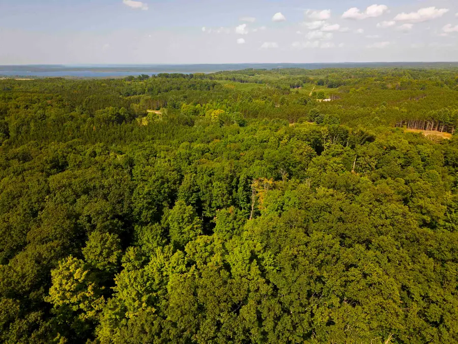 3037 Dockery Road, Nw, Williamsburg, MI 49690 - #2