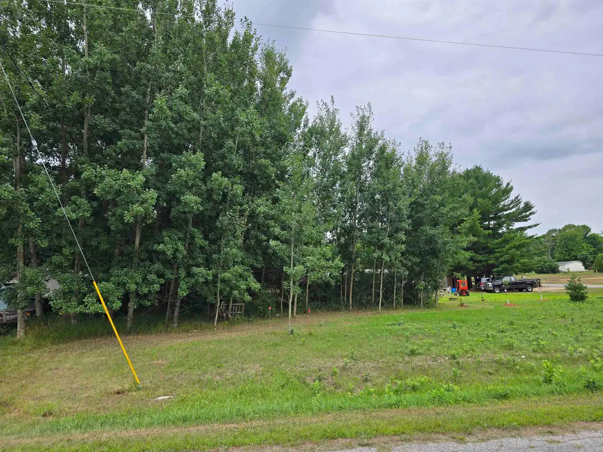 00 8th, Bear Lake, MI 49614 - #1