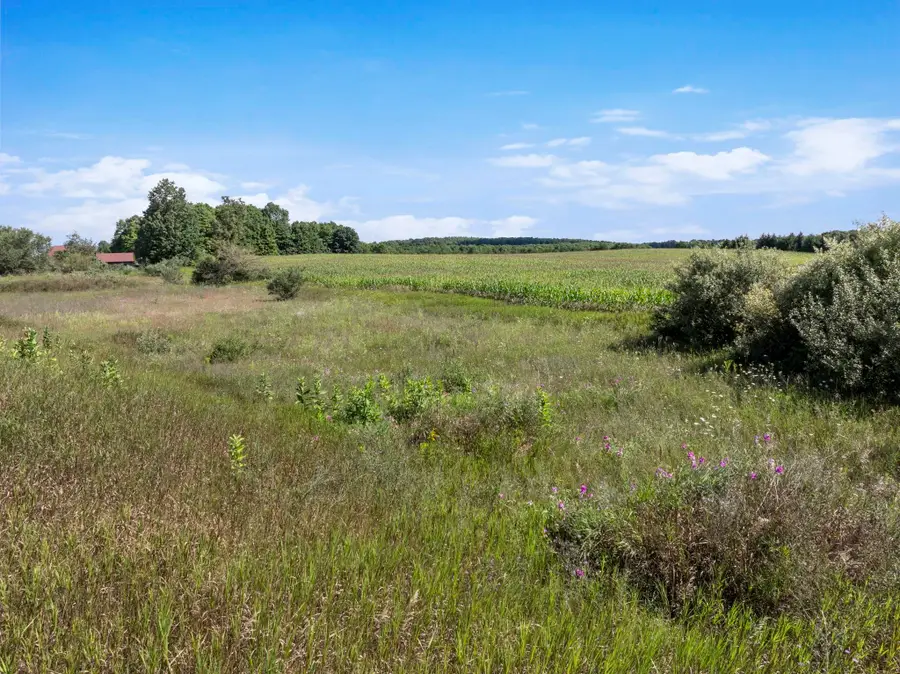 7921 Floreys Ranch, Buckley, MI 49620 - #3