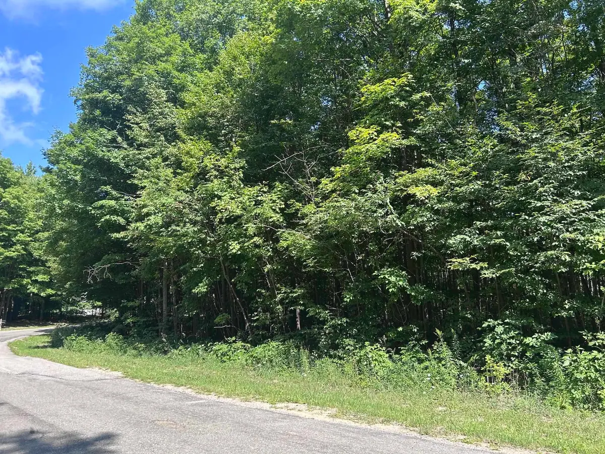 0 Antioch, Mesick, MI 49668 - #1