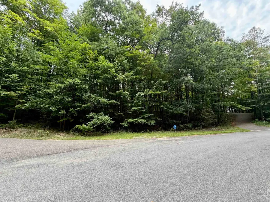 0000 Wasservalden, Bellaire, MI 49615 - #2