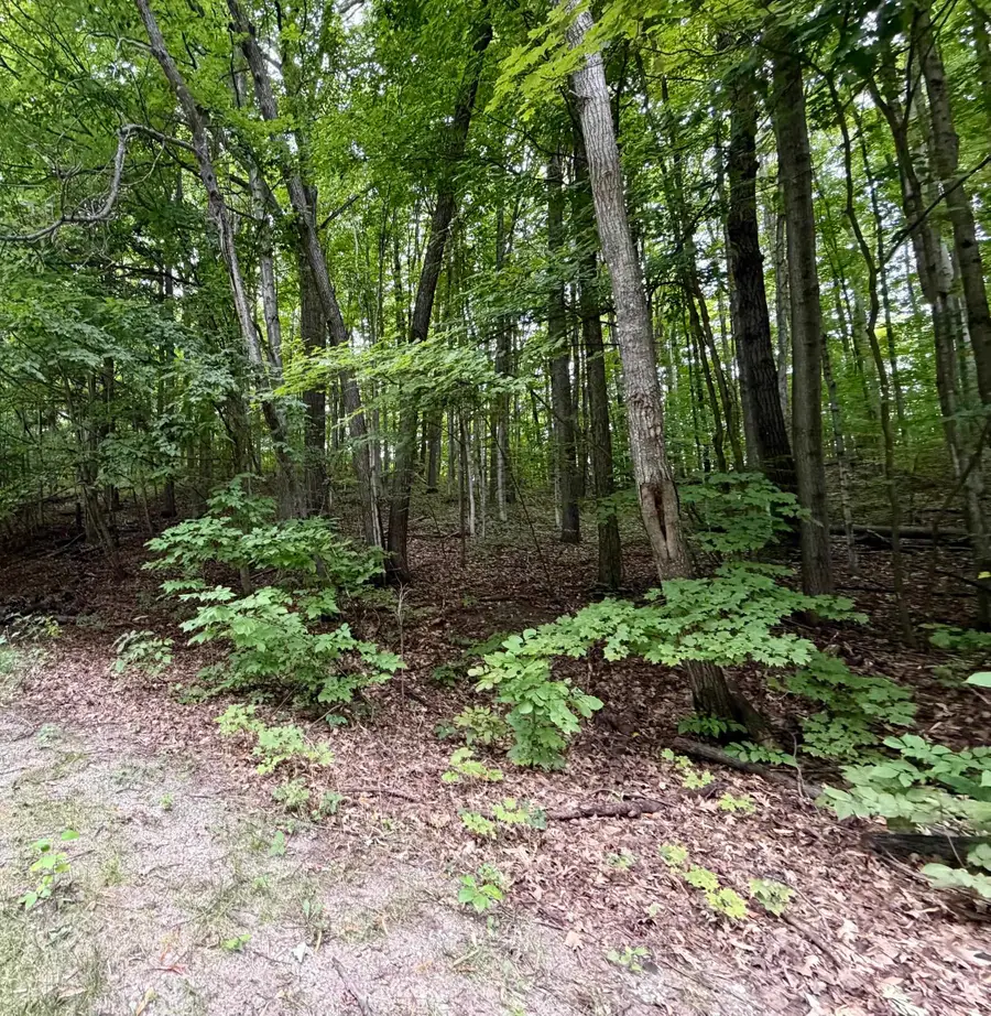 0000 Wasservalden, Bellaire, MI 49615 - #3
