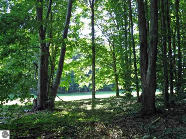 000-Unit 2 Mountain Woods, Thompsonville, MI 49683