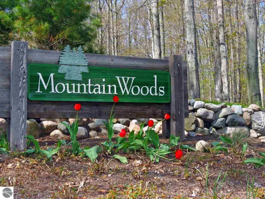 000-Unit 2 Mountain Woods, Thompsonville, MI 49683 - #2