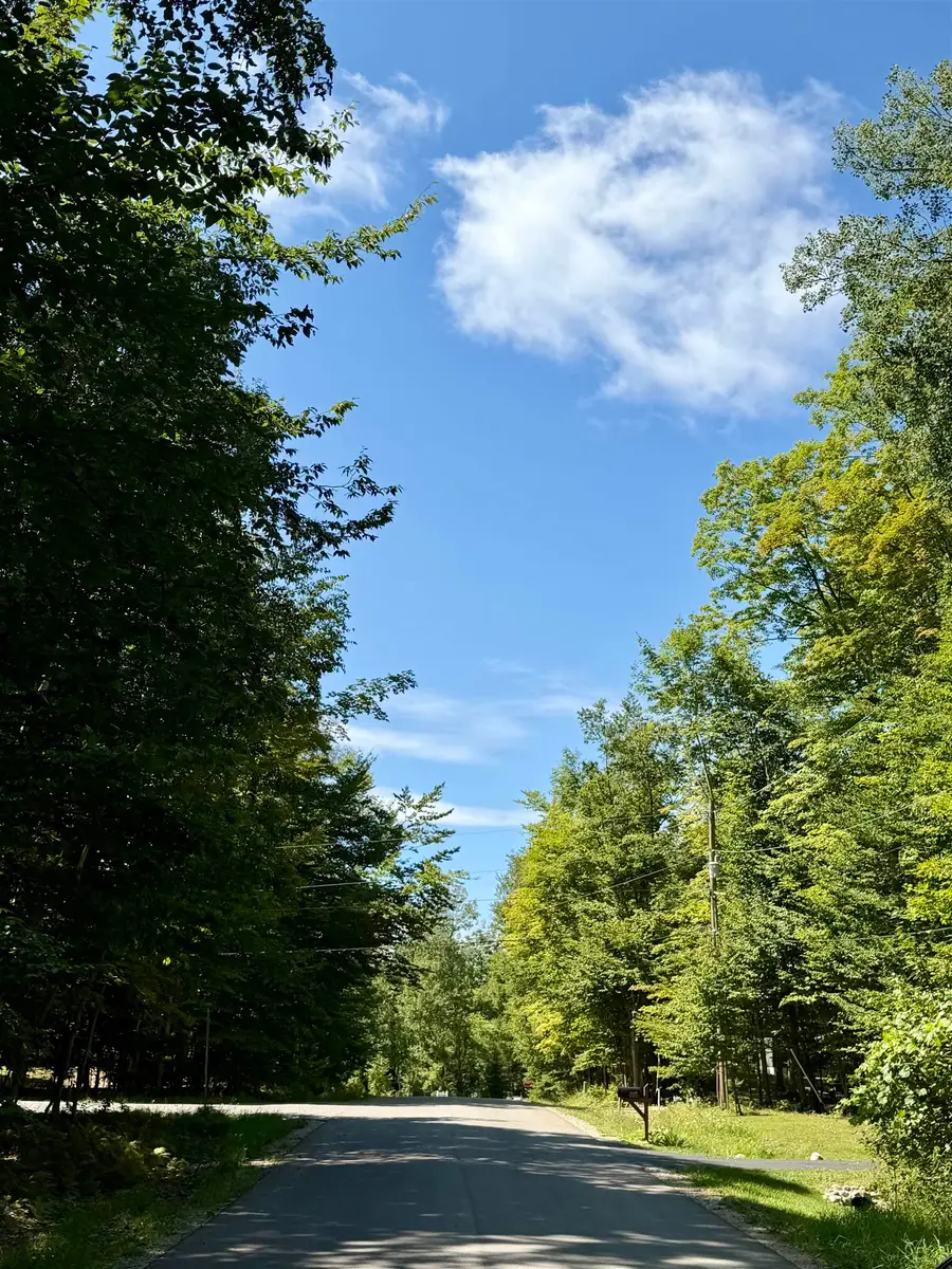 00 Shawnee, Kewadin, MI 49648 - #2
