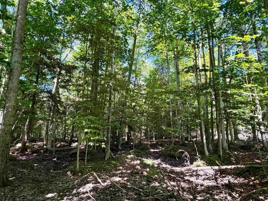 00 Shawnee, Kewadin, MI 49648 - #3